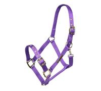 ARMA Adjustable Headcollar Purple - Purple - Pony