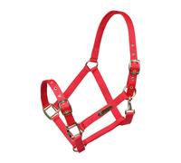 ARMA Adjustable Headcollar - Red - Small Pony