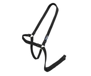 ARMA Cushion Web Halter and Lead Black - Pony/Cob