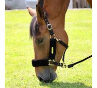 Shires ARMA Faux Fur Headcollar & Lead Rope Extra Full Black