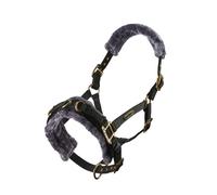 Arma Fleece Lined Lunge Cavesson - Pony · Black
