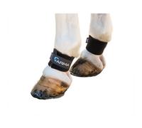 Arma Horse Pastern Wraps (Pack Of 2) Black (One Size)