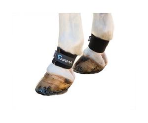Arma Horse Pastern Wraps (Pack Of 2) Black (One Size)