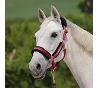 ARMA Logo Headcollar & Lead Rope - Shires - Burgundy - Size: Cob