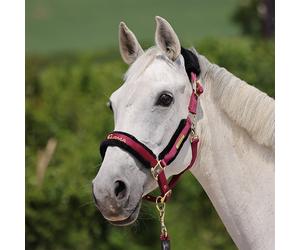 ARMA Logo Headcollar & Lead Rope - Shires - Burgundy - Size: Cob