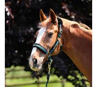 Shires ARMA Logo Headcollar & Lead Rope Sizes Extra Full Green