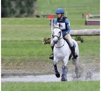 ARMA Neoprene Brushing Boots Royal Blue - Small Pony