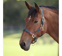 Arma Porto Headcollar - Extra Full · Navy