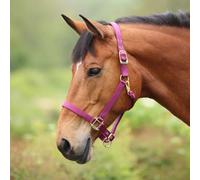 ARMA Premium Adjustable Headcollar - Burgundy - Cob