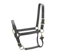 ARMA Premium Adjustable Headcollar - Grey - Cob