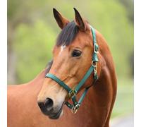 ARMA Premium Adjustable Headcollar - Hunter - Cob