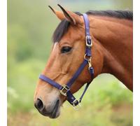 ARMA Premium Adjustable Headcollar - Navy - Full