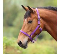 ARMA Premium Adjustable Headcollar - Purple - Full