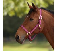 ARMA Premium Adjustable Headcollar - Raspberry - Cob