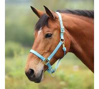 ARMA Premium Adjustable Headcollar - Teal - Cob