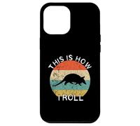Armadillo This Is How I Roll Retro Vintage Sunset Wildlife Case for iPhone 12 Pro Max