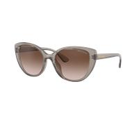 Sunglasses Armani Exchange AX4111SU 824013 18 54 140 Größe: 54