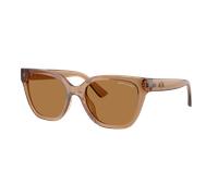 Armani Exchange Woman Sunglass AX4164SU - Frame color: Shiny Transparent Brown, Lens color: Bronze