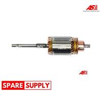ARMATURE, STARTER AS-PL SA0072