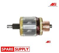ARMATURE, STARTER AS-PL SA5010