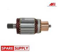 ARMATURE, STARTER AS-PL SA6011