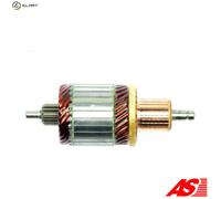 AS-PL SA0076 Armature, starter