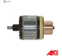 AS-PL SA6019 Armature, starter