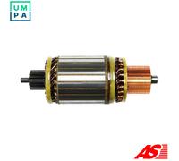 ARMATURE STARTER SA9019