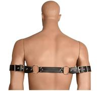 Armed and Amorous Restraint