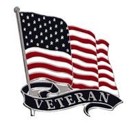 Armed Forces Depot Military Veteran with U.S. Flag Pin