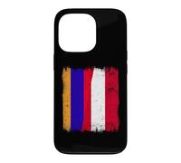 Armenia Austria Flag | Armenian Austrian Roots Case for iPhone 13 Pro