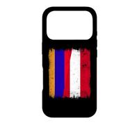 Armenia Austria Flag | Armenian Austrian Roots Case for iPhone 17 Pro