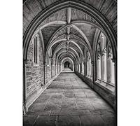 Armfield Stone Arched Hallway Large Canvas Wall Art Print