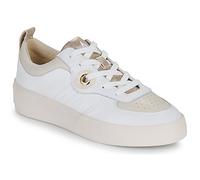 Armistice Shoes (Trainers) LOVA SNEAKER in White 7.5