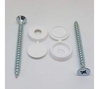 Armitage Shanks S910101 White Pair of Domex Screws