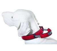 Armored Tech Dog Control Collar with Integrated Short Lead (XL Neck Circumference 51-60 cm, Red)