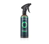 Armour Detail Supply - Amplify Ceramic Detailer: Quick & Easy Gloss Enhancement | Streak-Free, Hydrophobic Formula | Safe on All Vehicles | 16oz Trigger Spray