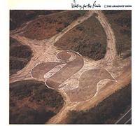 ARMOURY SHOW - Waiting for the floods (1984/85) [VINYL]