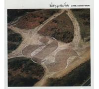 Armoury Show - Waiting For The Floods