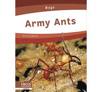 Army Ants (Bugs)