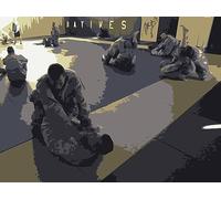 Army Combatives