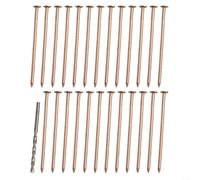 ARMYJY Copper Nail Kit for Killing Trees and Stumps 4 Inch Long, for Root Elimination (25pcs)