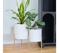 ARNIS Modern Planter Pots, Set of 2 Round Large Planters with Stand, Decorative Planters, Metal Pots with Drainage Holes for Living Room, Office, Garden or Balcony, 8.25 &10.5 Inch, White & Gold