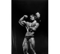 Arnold Schwarzenegger Bodybuilding Gym Terminator Movie Picture Poster Wall Art Decor Room A4