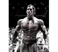 Arnold Schwarzenegger Gym Conquer Poster Wall Art Print (A2 420 x 594mm)