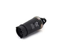Arnott Air Spring A-2133 Rear Top-Pin Suspension for Audi A6 C5 Avant/Allroad