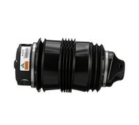 Arnott A-2725 Air Spring, suspension