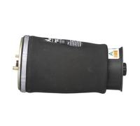 Arnott A-2737 Air Spring, suspension