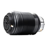 Arnott A-2790 Air Spring, suspension