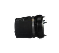 Arnott A-2861 Air Spring, suspension